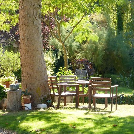 Domaine De Joreau Gennes-Val-de-Loire Esterno foto