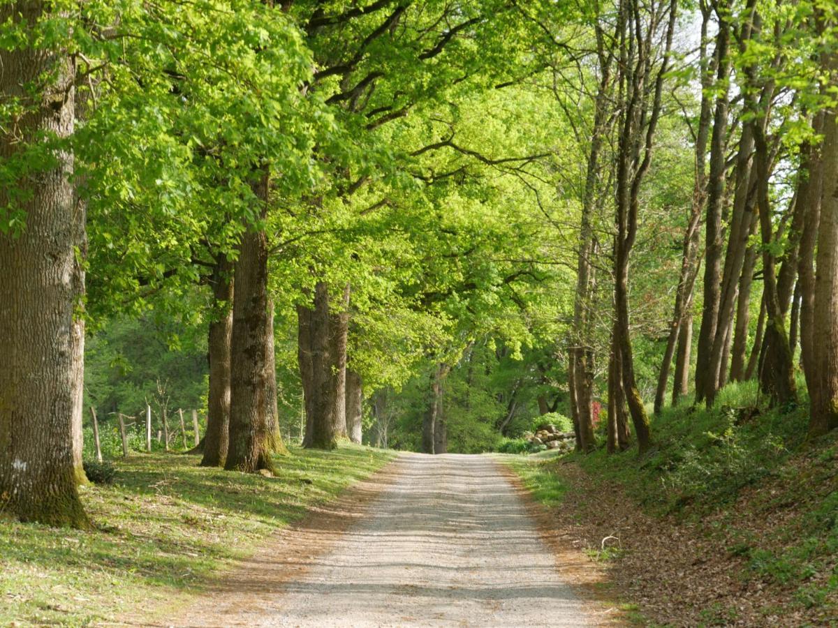 Domaine De Joreau Gennes-Val-de-Loire Esterno foto