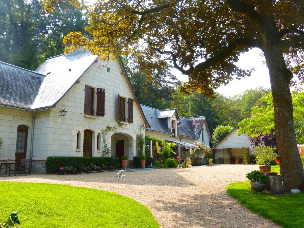 Domaine De Joreau Gennes-Val-de-Loire Esterno foto