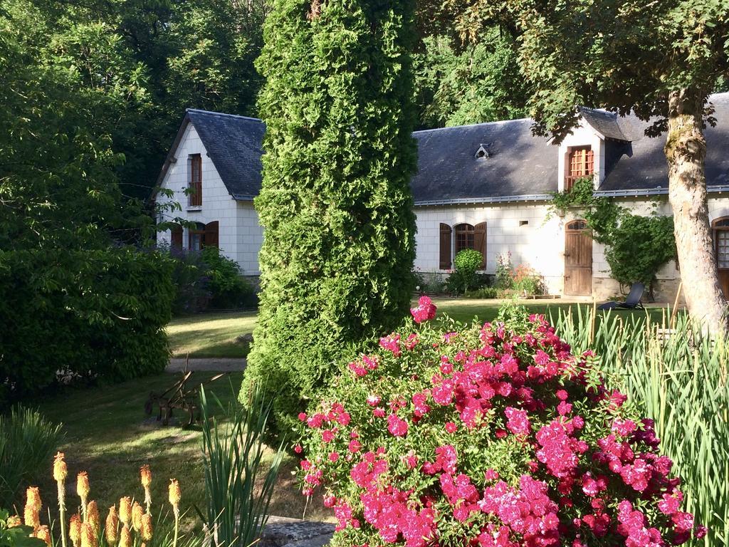 Domaine De Joreau Gennes-Val-de-Loire Esterno foto