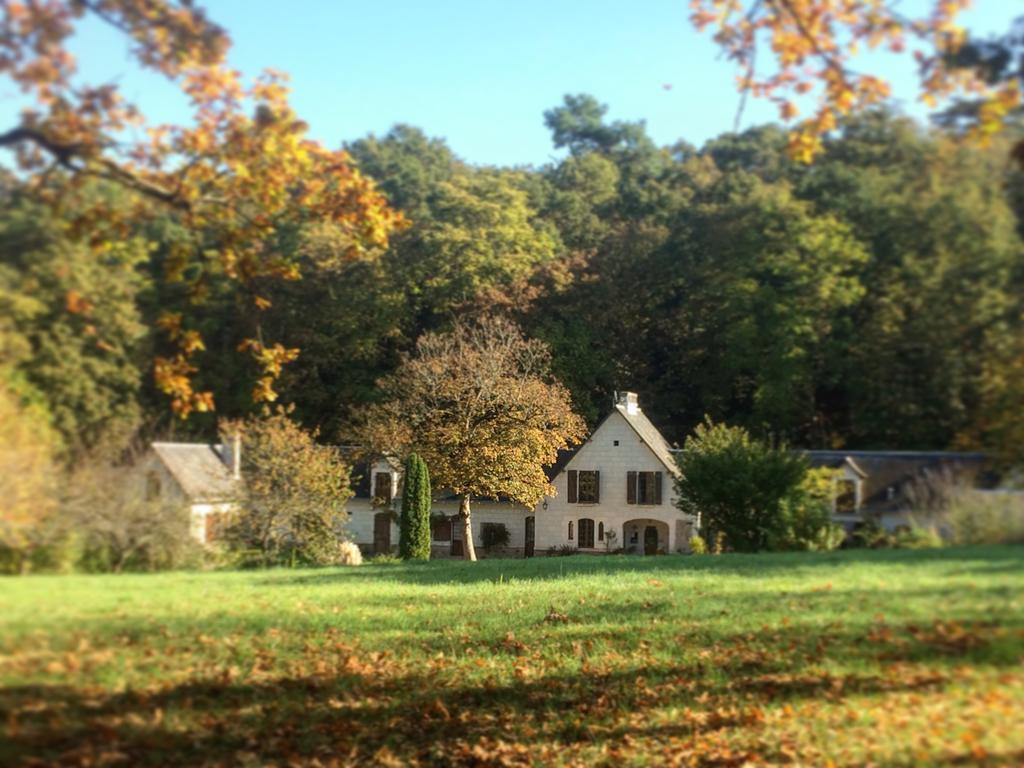 Domaine De Joreau Gennes-Val-de-Loire Esterno foto
