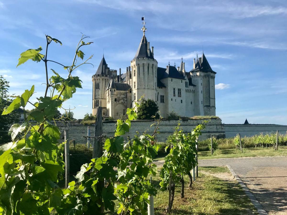 Domaine De Joreau Gennes-Val-de-Loire Esterno foto